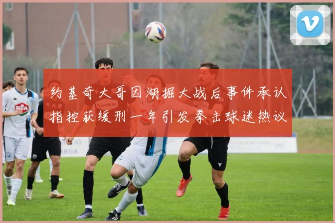 约基奇大哥因湖掘大战后事件承认指控获缓刑一年引发拳击球迷热议