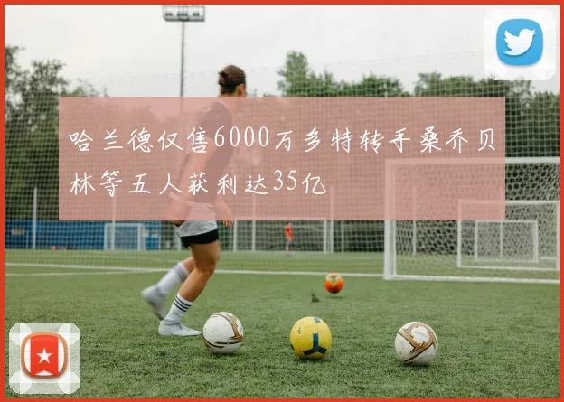 哈兰德仅售6000万多特转手桑乔贝林等五人获利达35亿